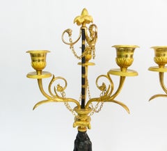 Fine pair of French bronze and gilded bronze candelabra from the 18/19 th