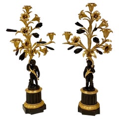 Raffinata coppia di candelabri francesi a tre luci in bronzo dorato e patinato