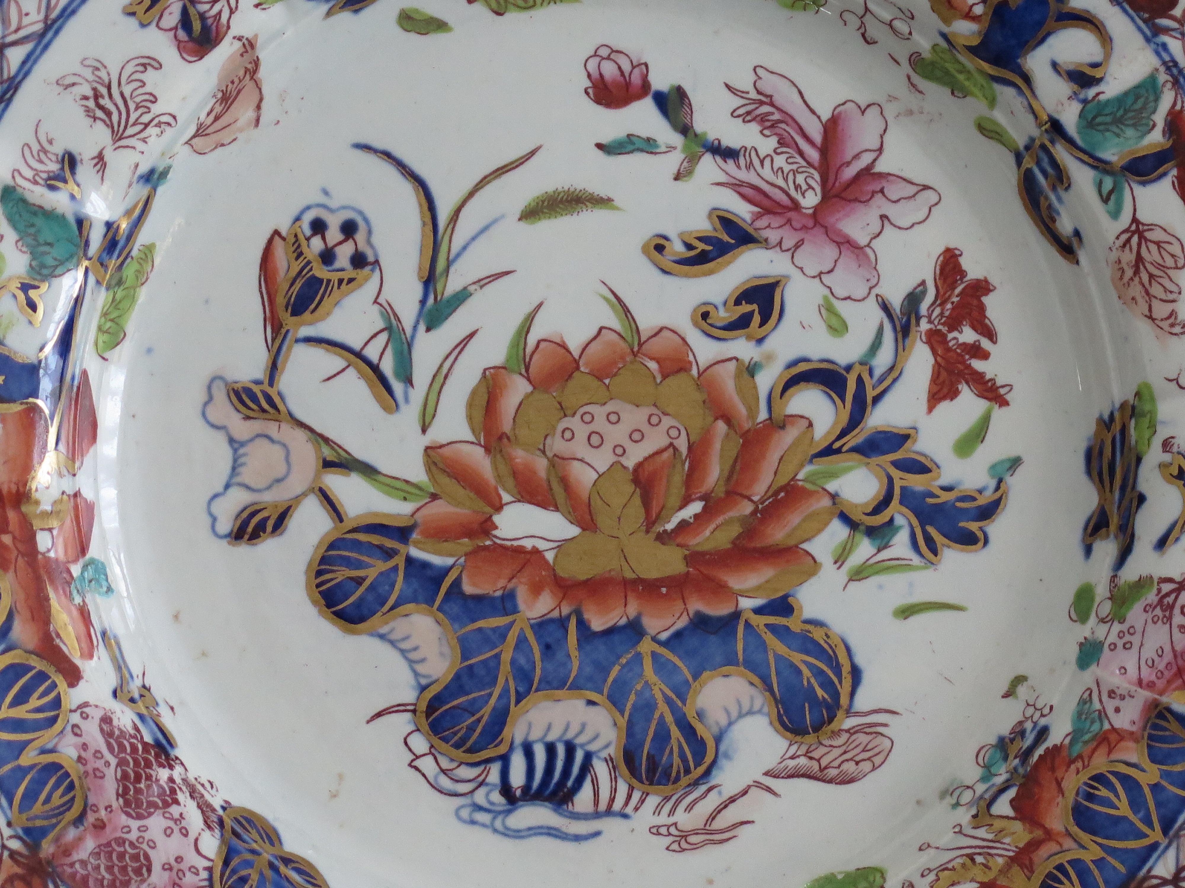 Bella COPPIA di piatti georgiani Mason's Ironstone con motivo a giglio d'acqua, circa 1818 in vendita 4
