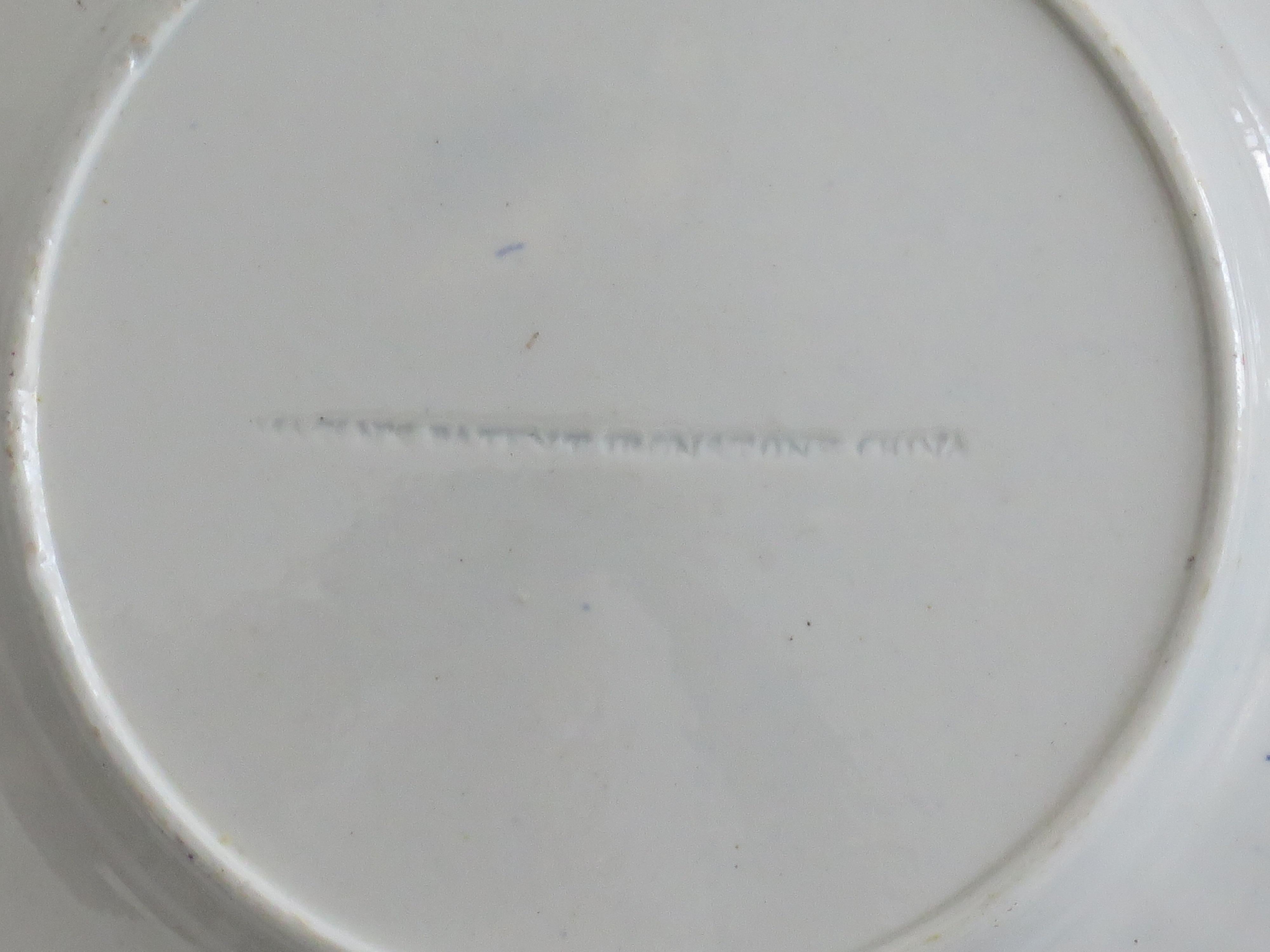 Bella COPPIA di piatti georgiani Mason's Ironstone con motivo a giglio d'acqua, circa 1818 in vendita 11