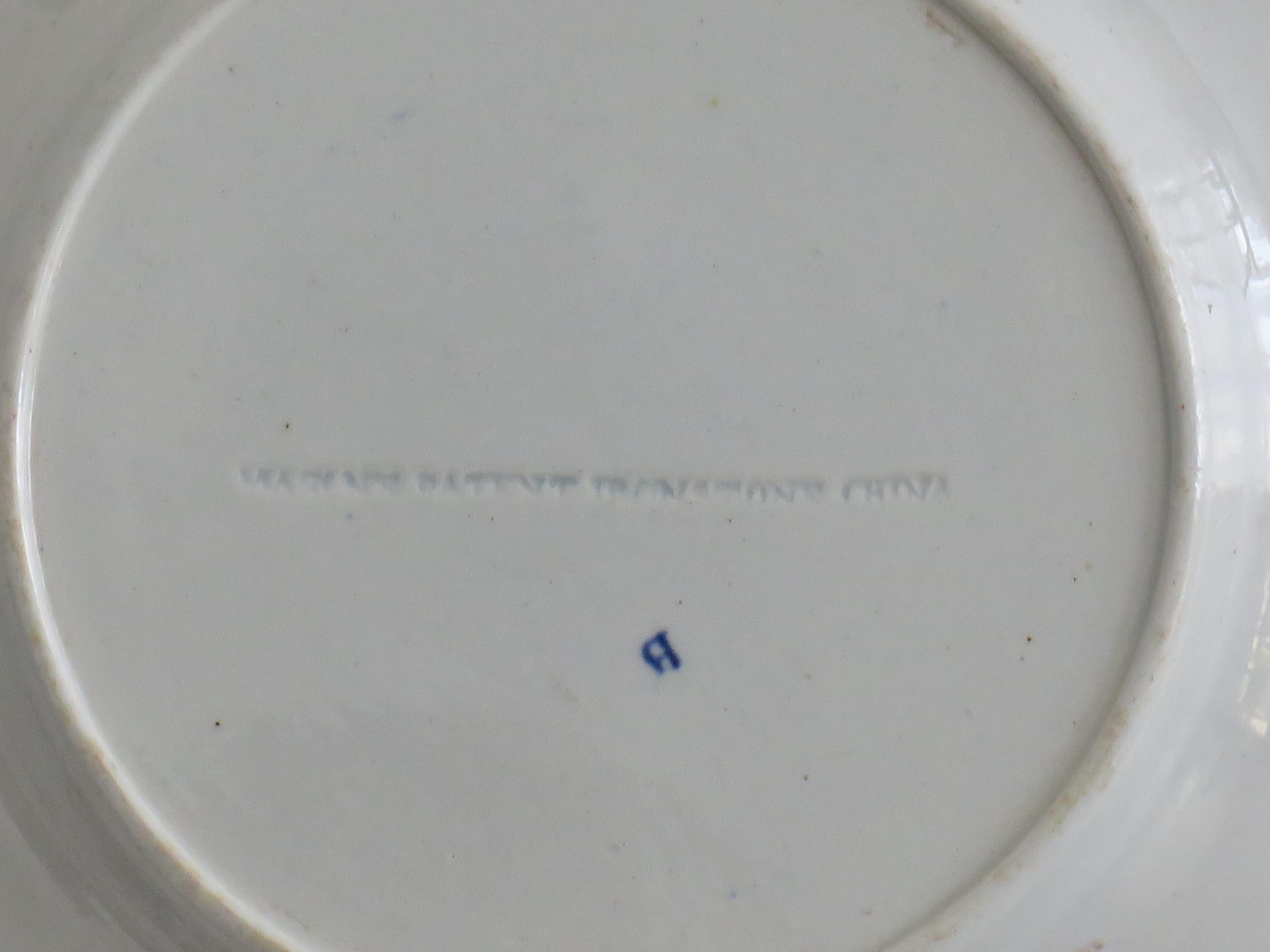Bella COPPIA di piatti georgiani Mason's Ironstone con motivo a giglio d'acqua, circa 1818 in vendita 12