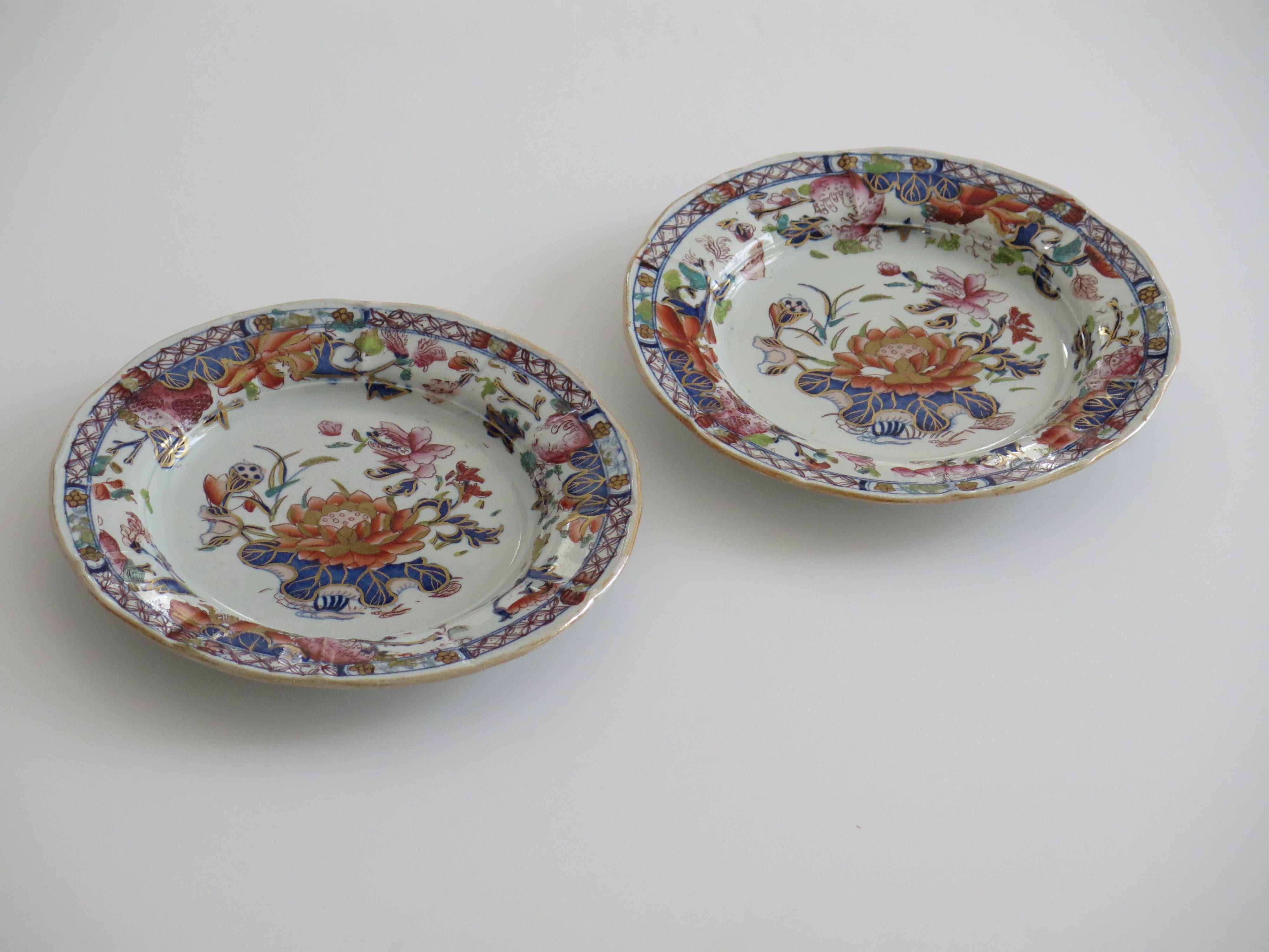 Bella COPPIA di piatti georgiani Mason's Ironstone con motivo a giglio d'acqua, circa 1818 In condizioni buone in vendita a Lincoln, Lincolnshire