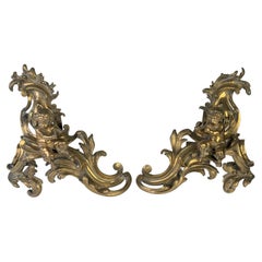 Fine Pair of Gilded Brass Chenets/Fire Dogs