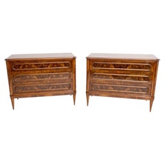 Fine Pair of Late 19th Century Chests
