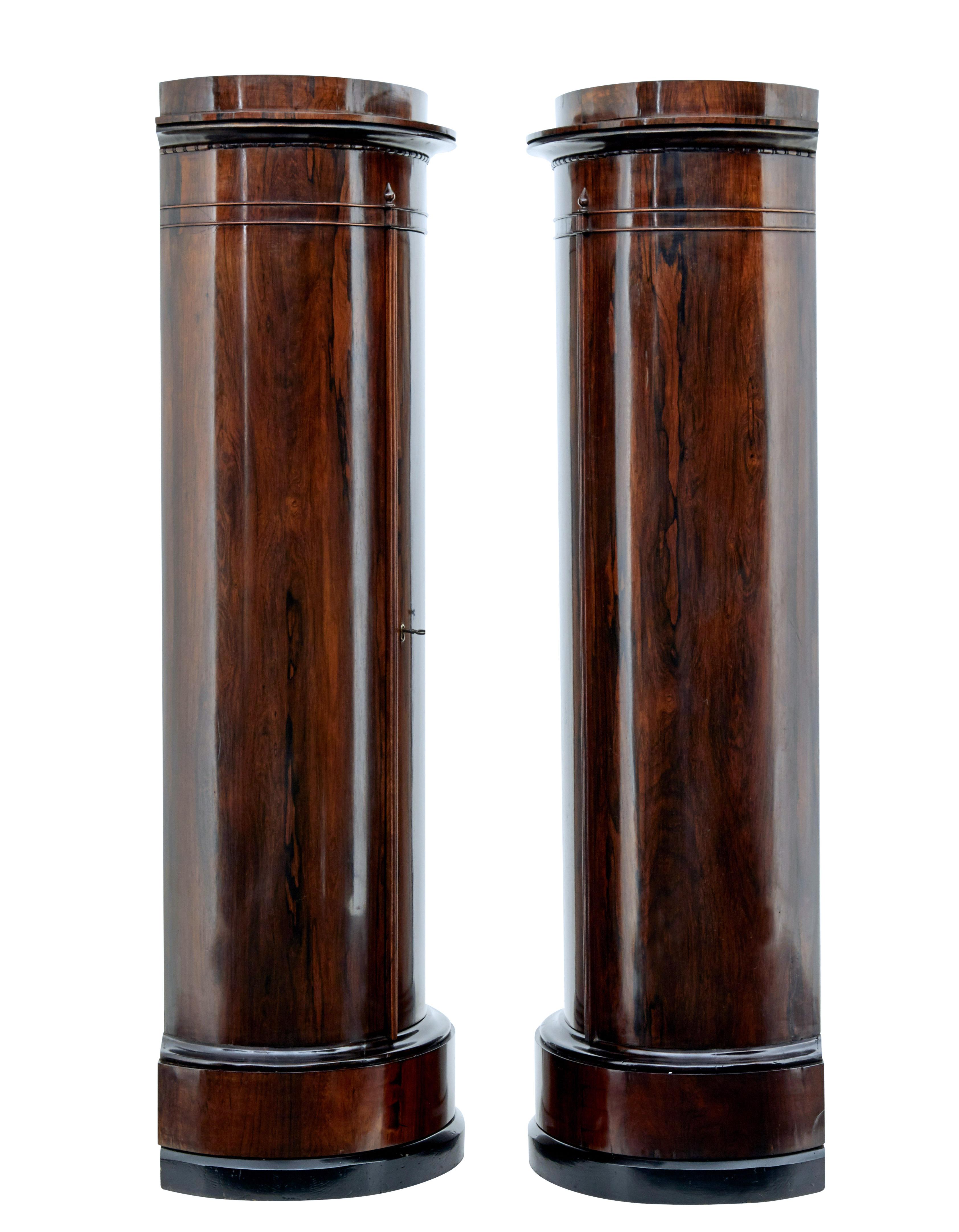 Veneer Fine Pair of Mid-19th Century Palisander Pedestal Cabinets