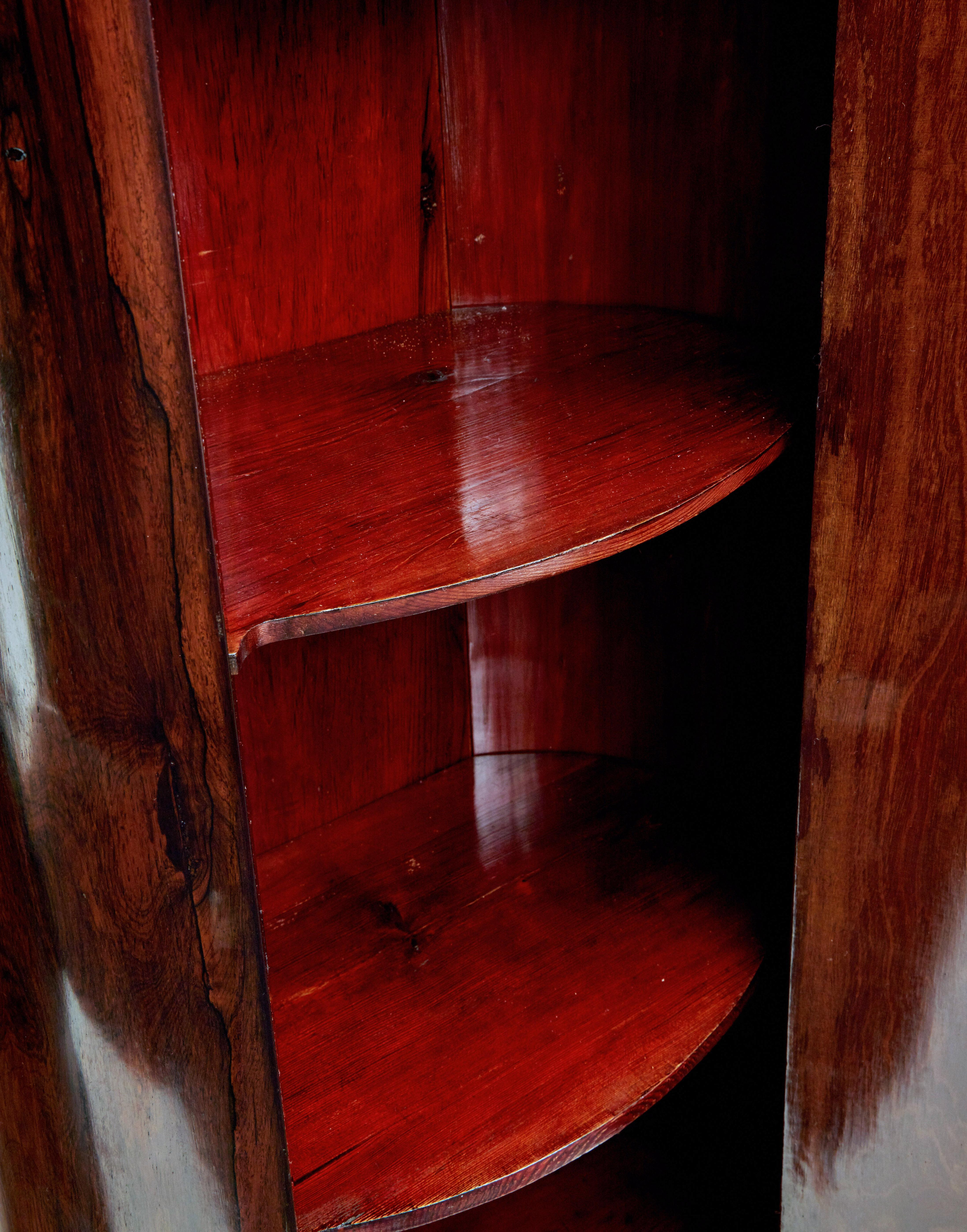 Fine Pair of Mid 19th Century Palisander Pedestal Cabinets 2