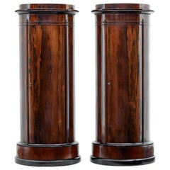 Fine Pair of Mid-19th Century Palisander Pedestal Cabinets