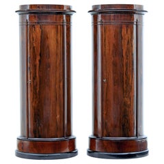 Fine Pair of Mid 19th Century Palisander Pedestal Cabinets