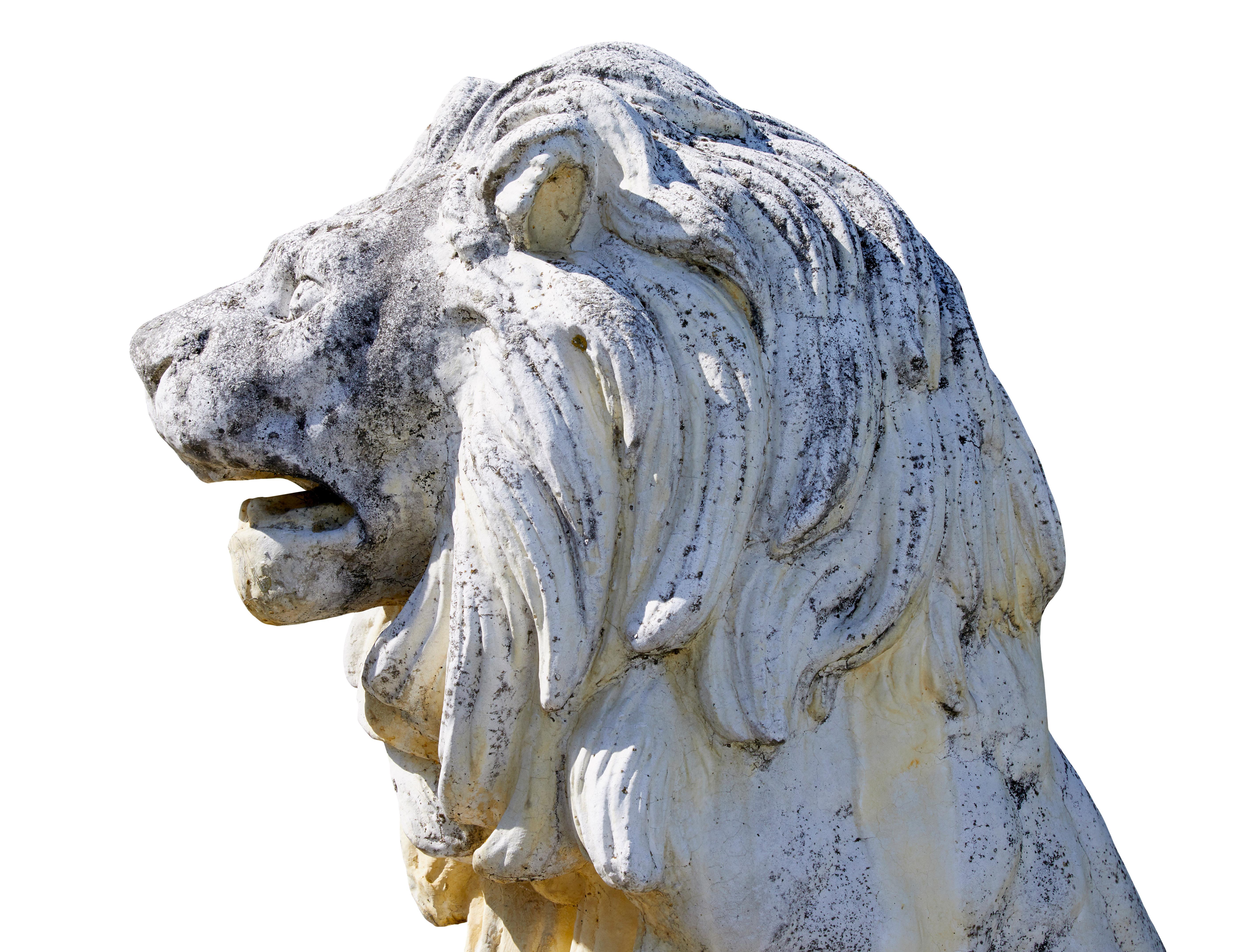 Fine pair of mid century carved stone lion statues For Sale 7