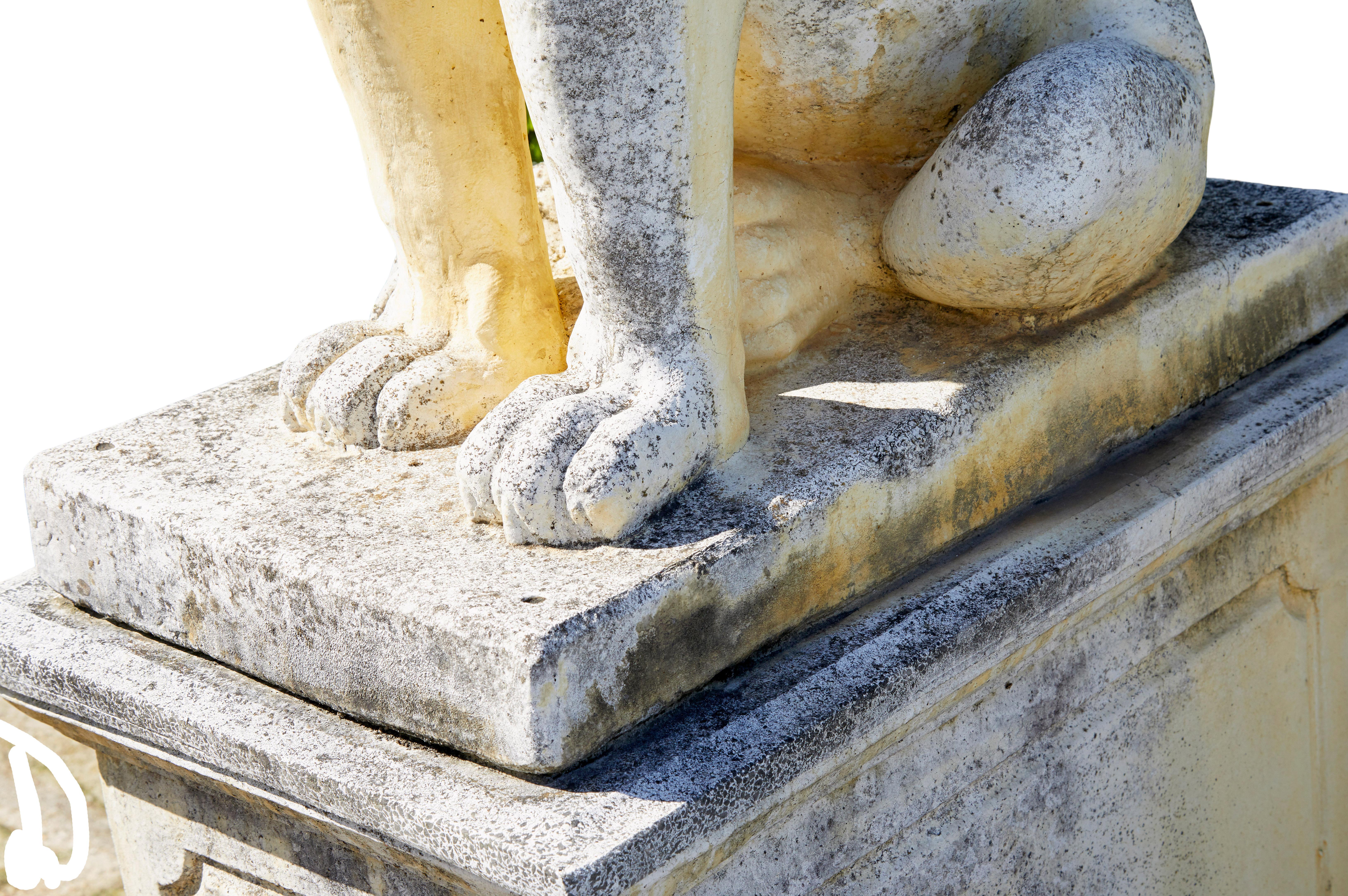 Fine pair of mid century carved stone lion statues For Sale 9