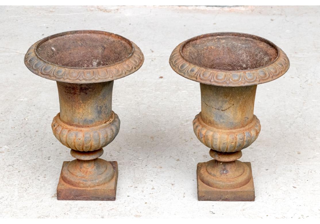 A nicely proportioned pair of antique Neoclassical style cast iron urns dating to the early 20th century with particularly fine form. The urns stand upon square bases with circular foot and short pedestal. The lower body of the urn is lobed with the