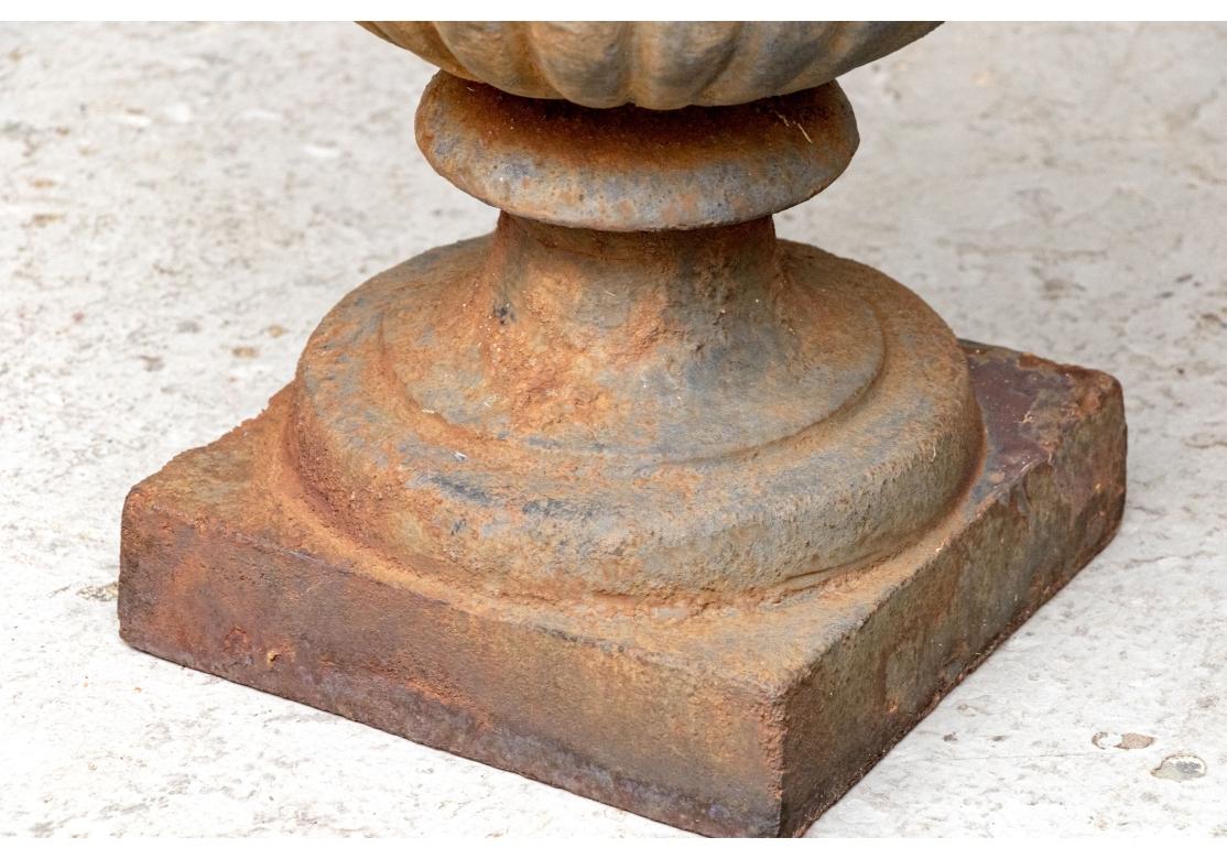 Fine Pair Of Neoclassical Style Cast Iron Urns, Early 20th Century For Sale 1