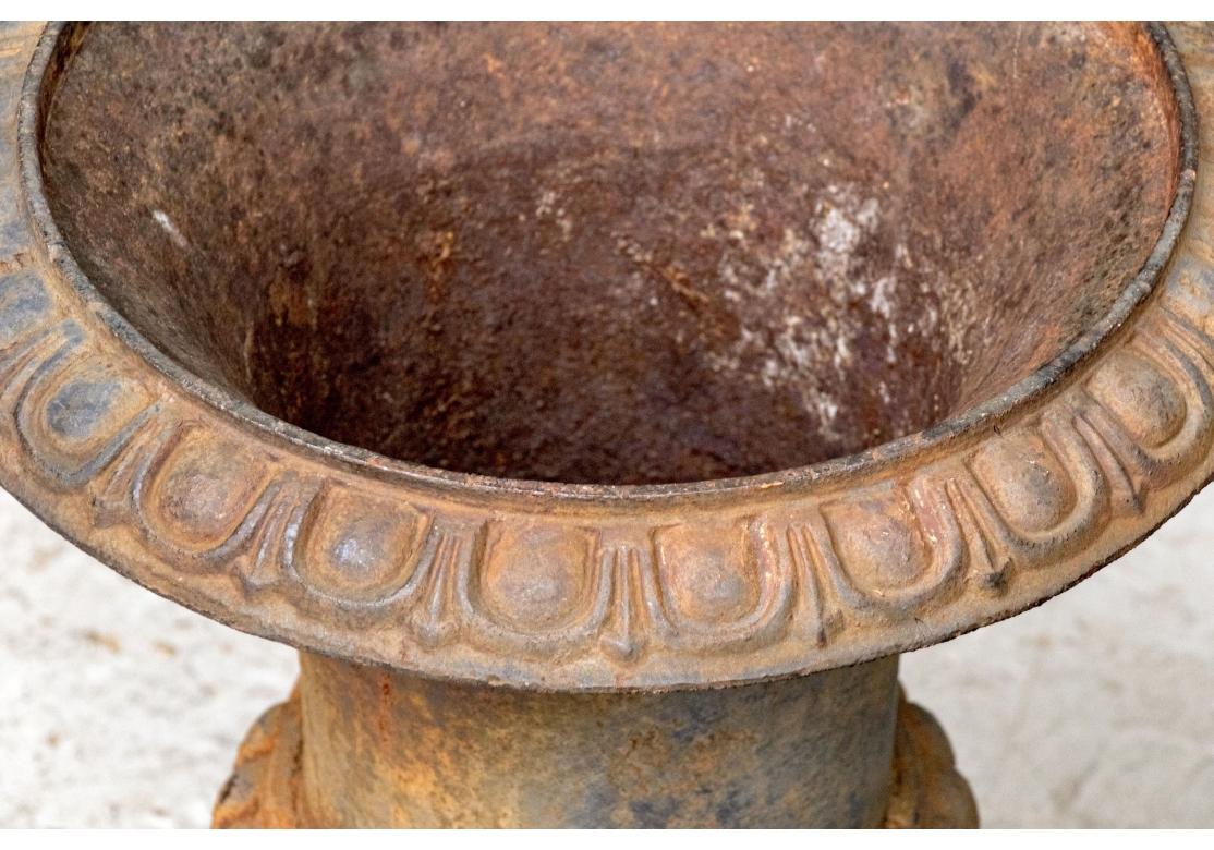 Fine Pair Of Neoclassical Style Cast Iron Urns, Early 20th Century For Sale 2