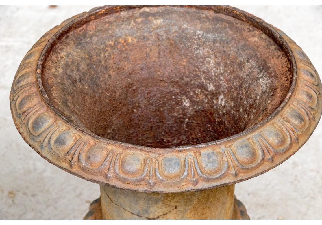 Fine Pair Of Neoclassical Style Cast Iron Urns, Early 20th Century For Sale 4