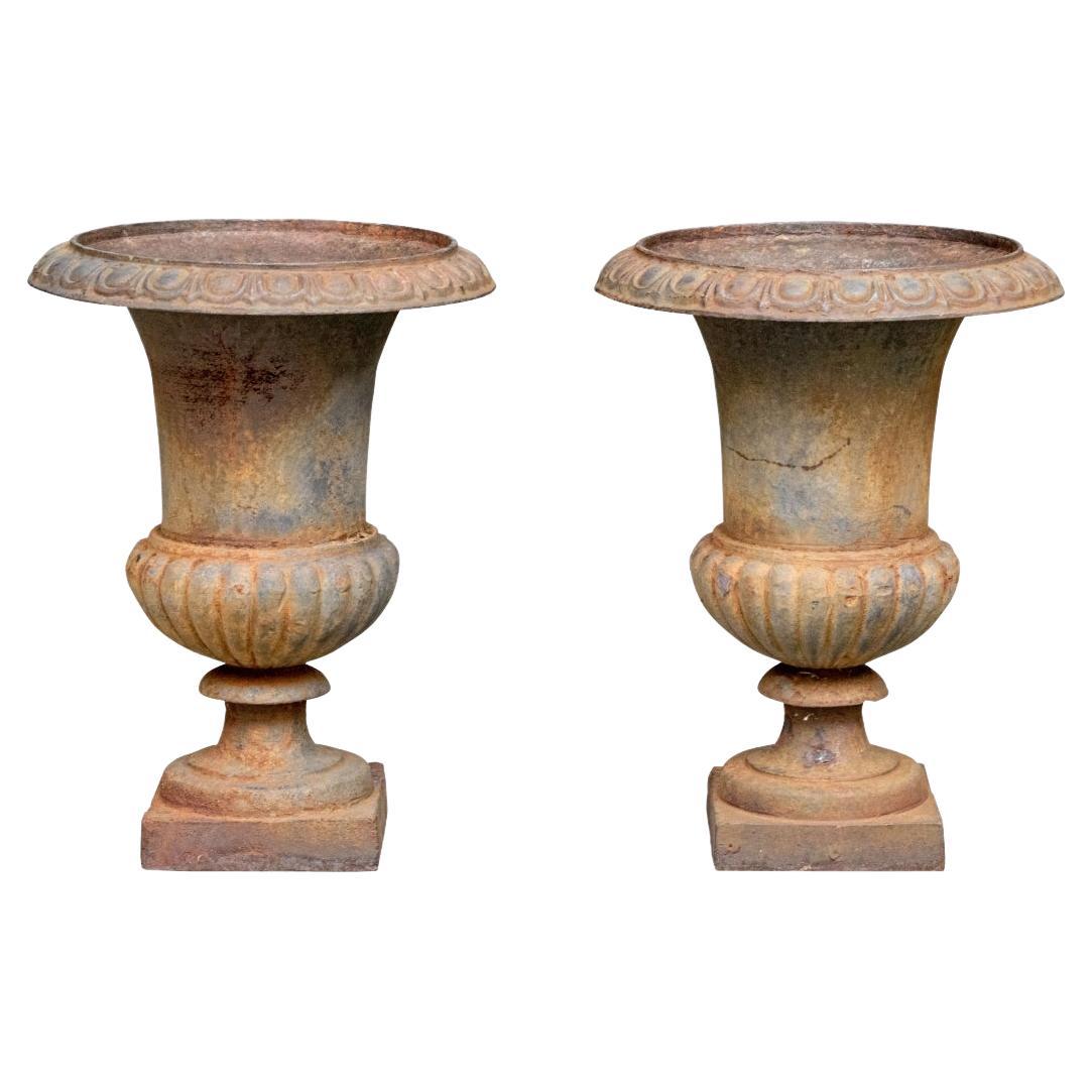 Fine Pair Of Neoclassical Style Cast Iron Urns, Early 20th Century For Sale