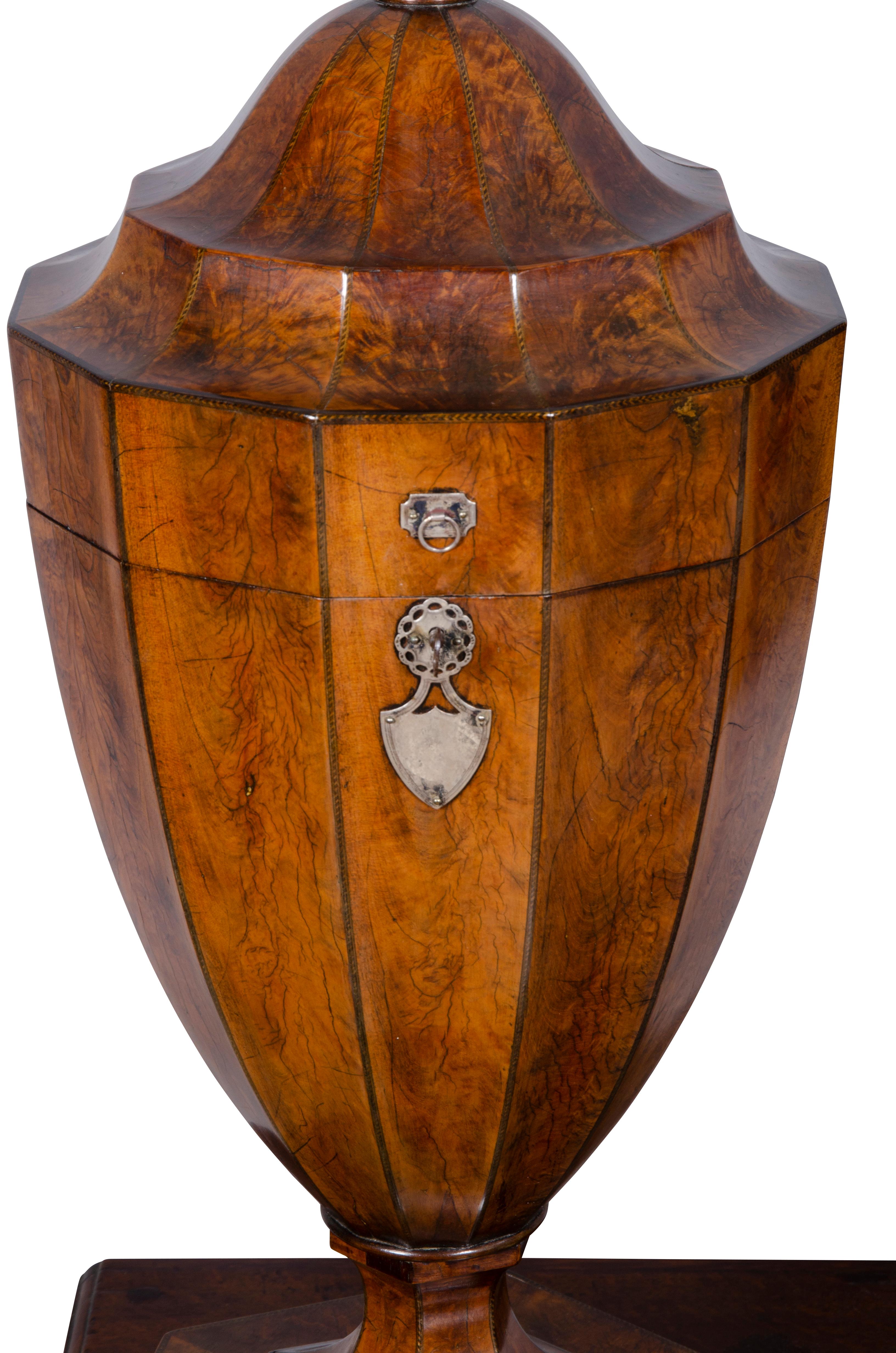 Fine Pair of Regency Mahogany Knife Urns In Good Condition For Sale In Essex, MA