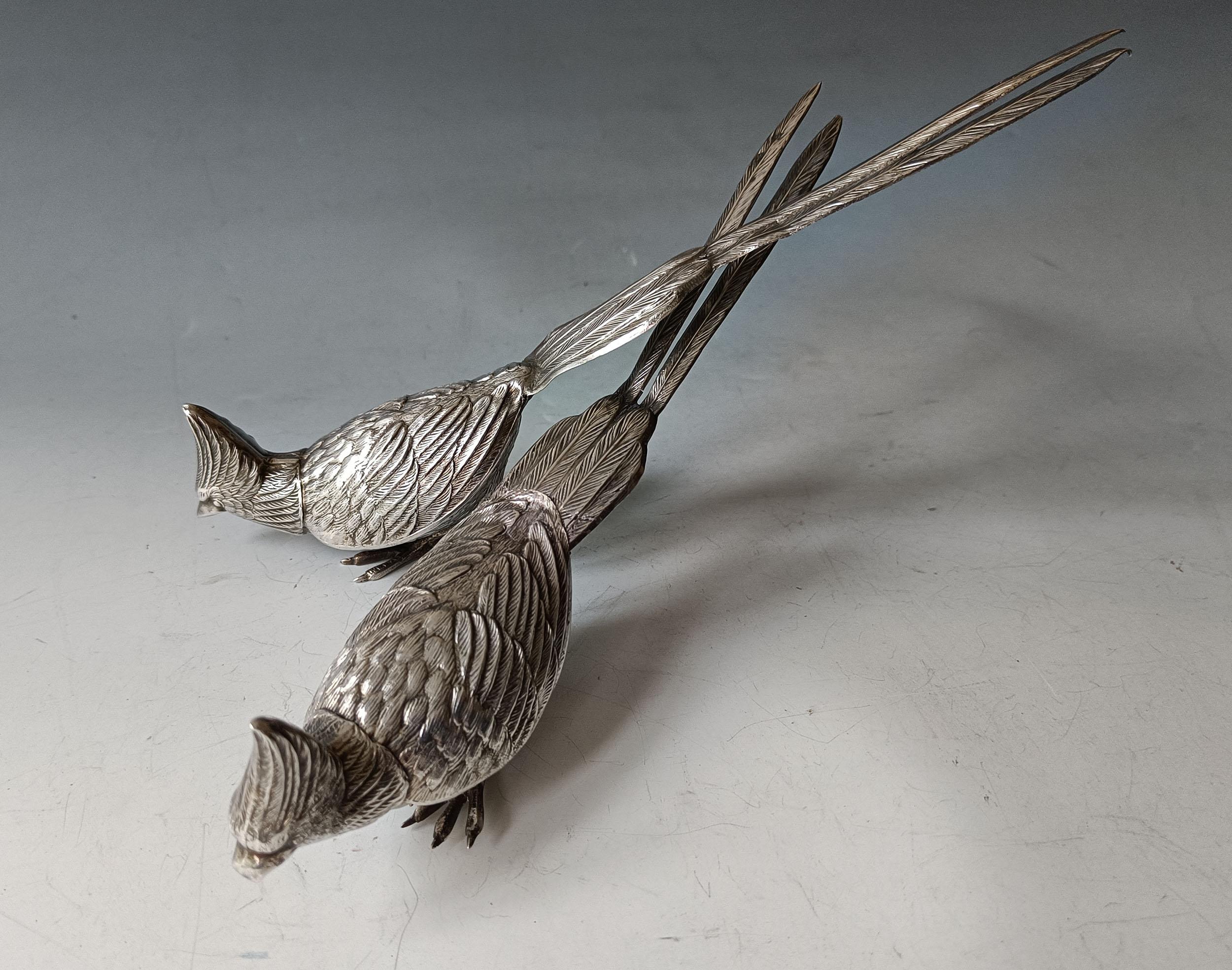 A Fine pair of Vintage Spanish hand crafted Silver Cockatoo   
Expertly crafted with beautifully detailed silver repousse workmanship,  the birds are hollow bodied with solid legs
Each with Spanish star silver mark on tail
Length 25  cm 10 inches.