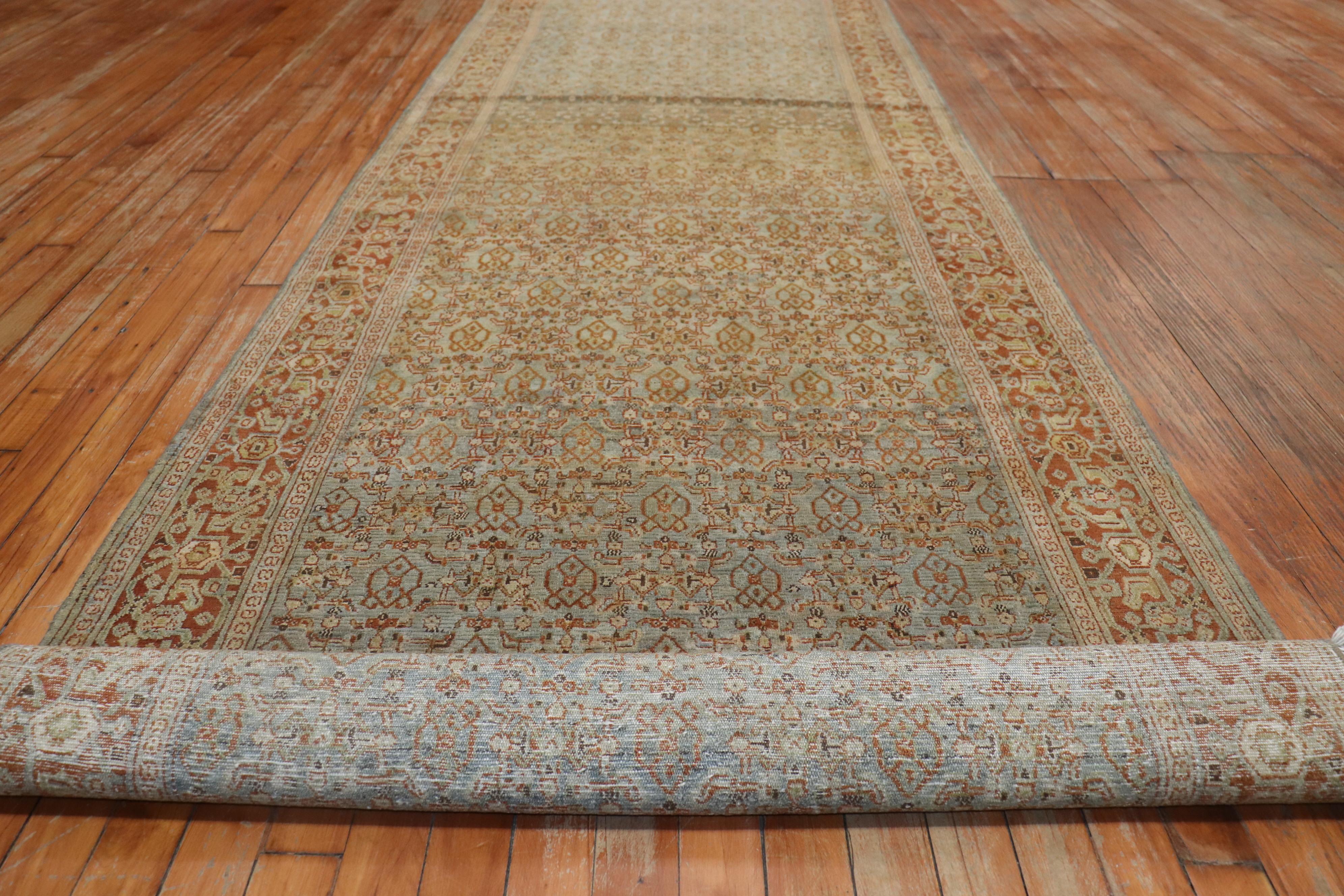 Tabriz Fine Persian Senneh Wide Runner, Early 20th Century For Sale