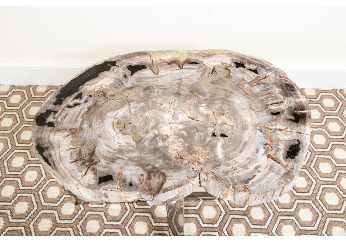 Fine Petrified Wood Cocktail or Side Table For Sale at 1stDibs