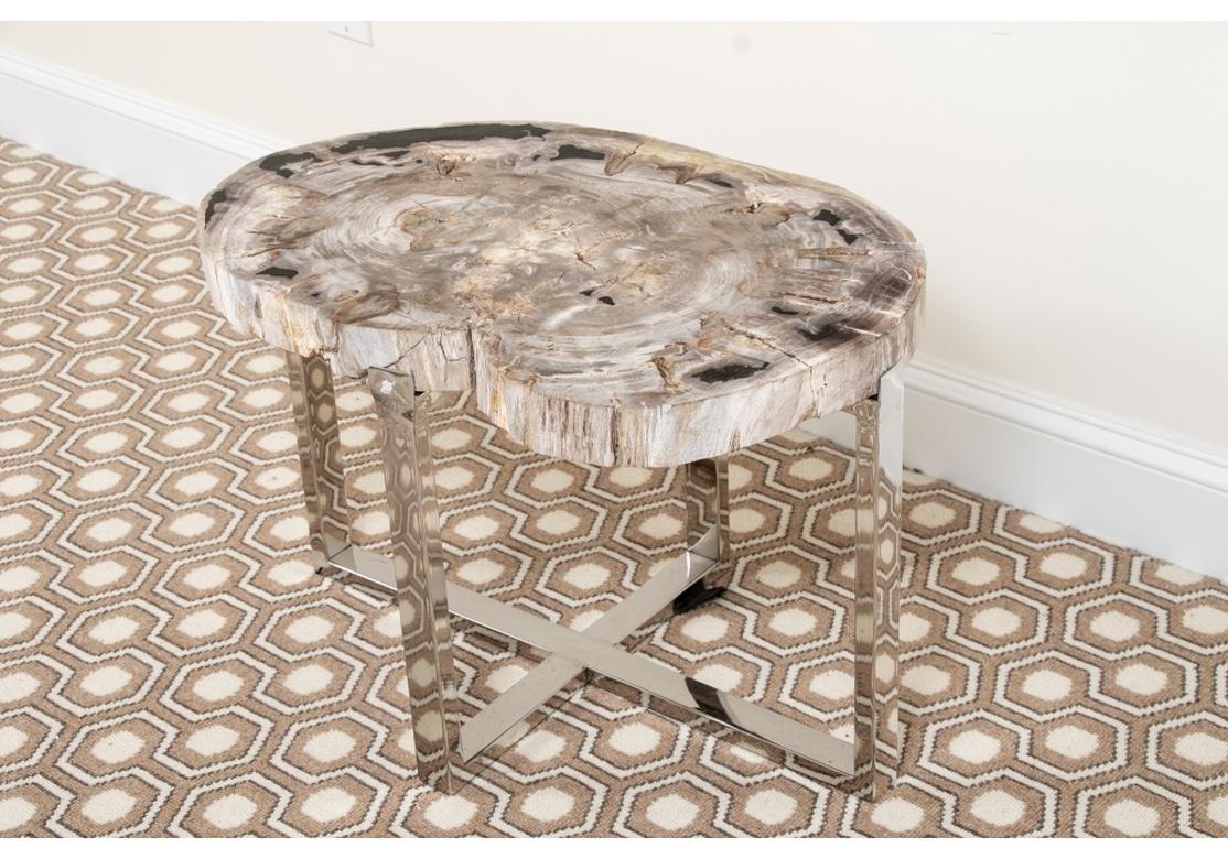 Mid-Century Modern Fine Petrified Wood Cocktail or Side Table