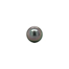 Fine Platinum Stud Earrings with 10.2mm Black Tahitian Pearls