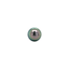 Fine Platinum Stud Earrings with 10.5mm Tahitian Pearls