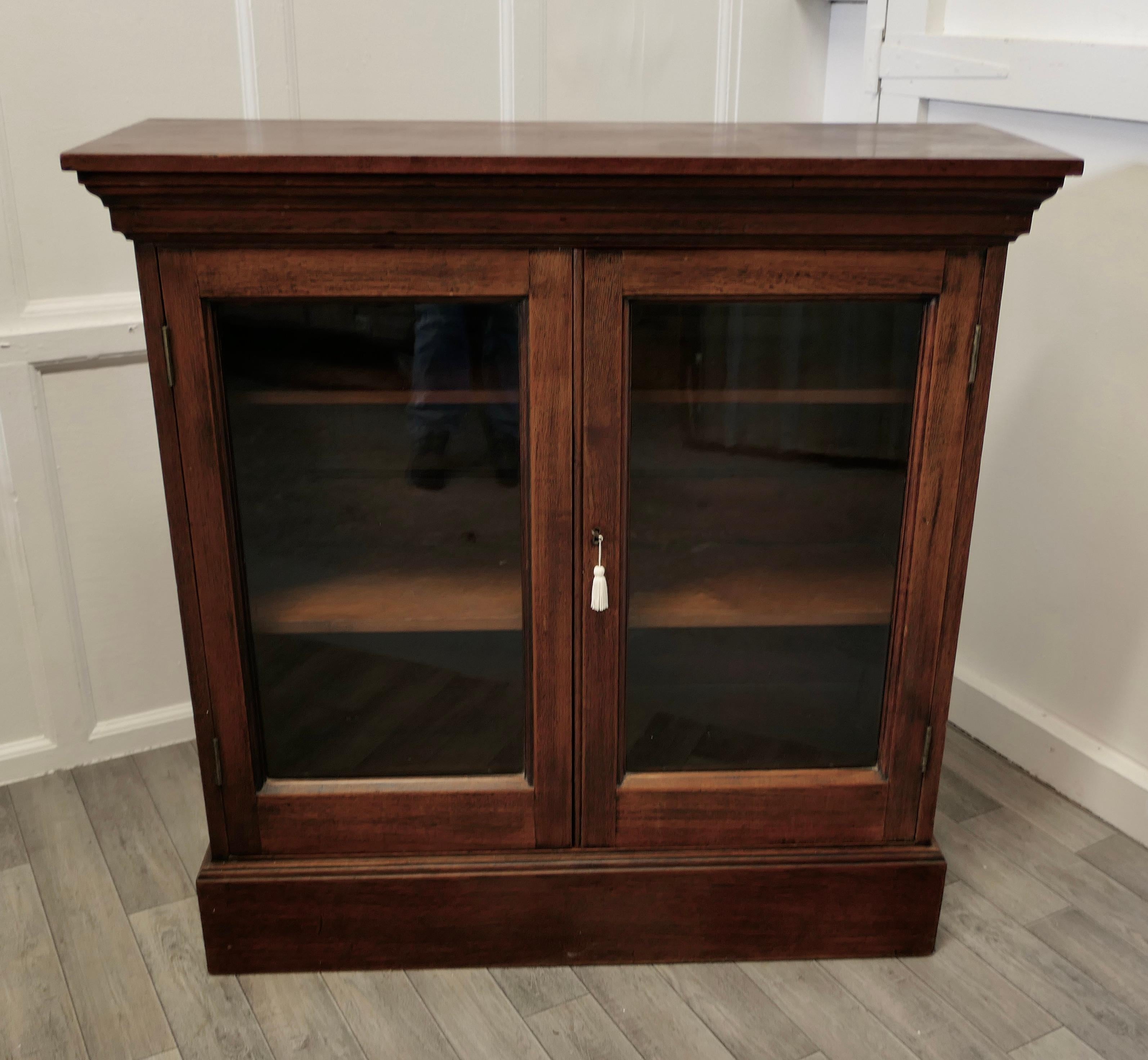 Adam Style Fine Quality 19th Century Walnut Glazed Bookcase, Cupboard