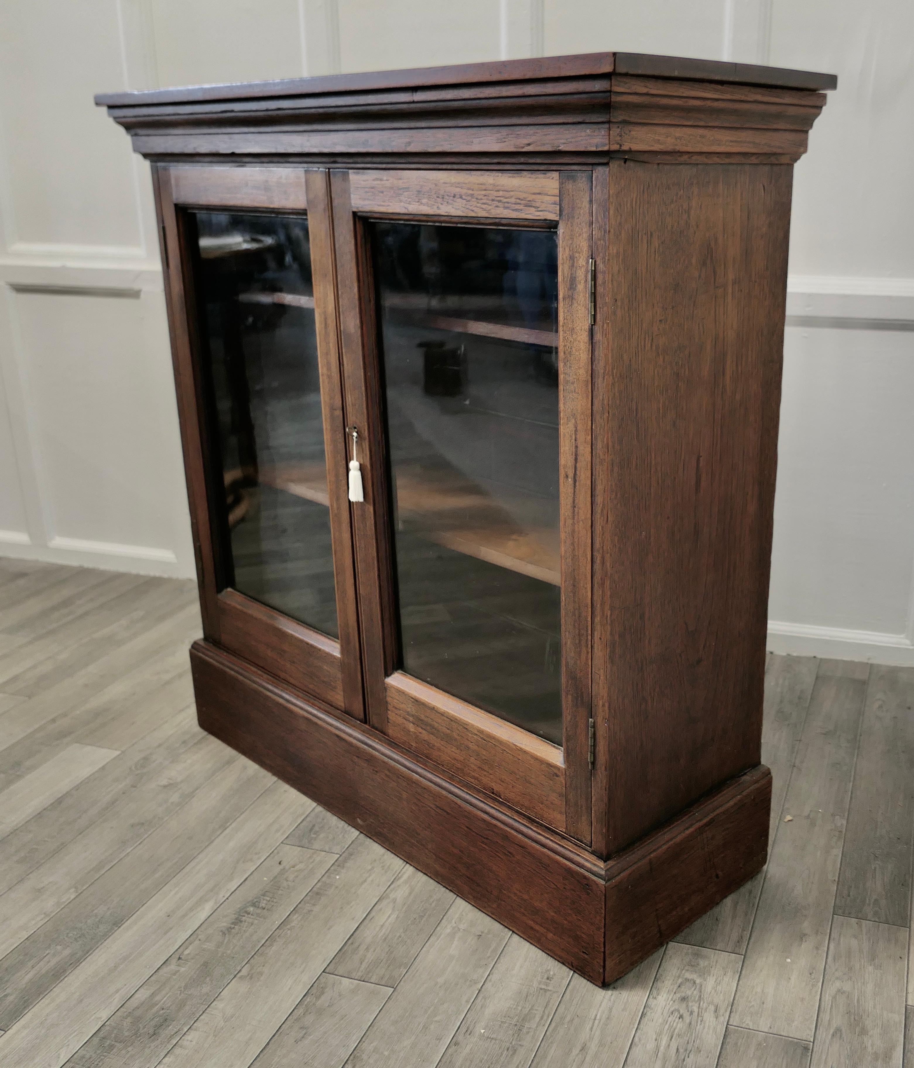 Fine Quality 19th Century Walnut Glazed Bookcase, Cupboard 1