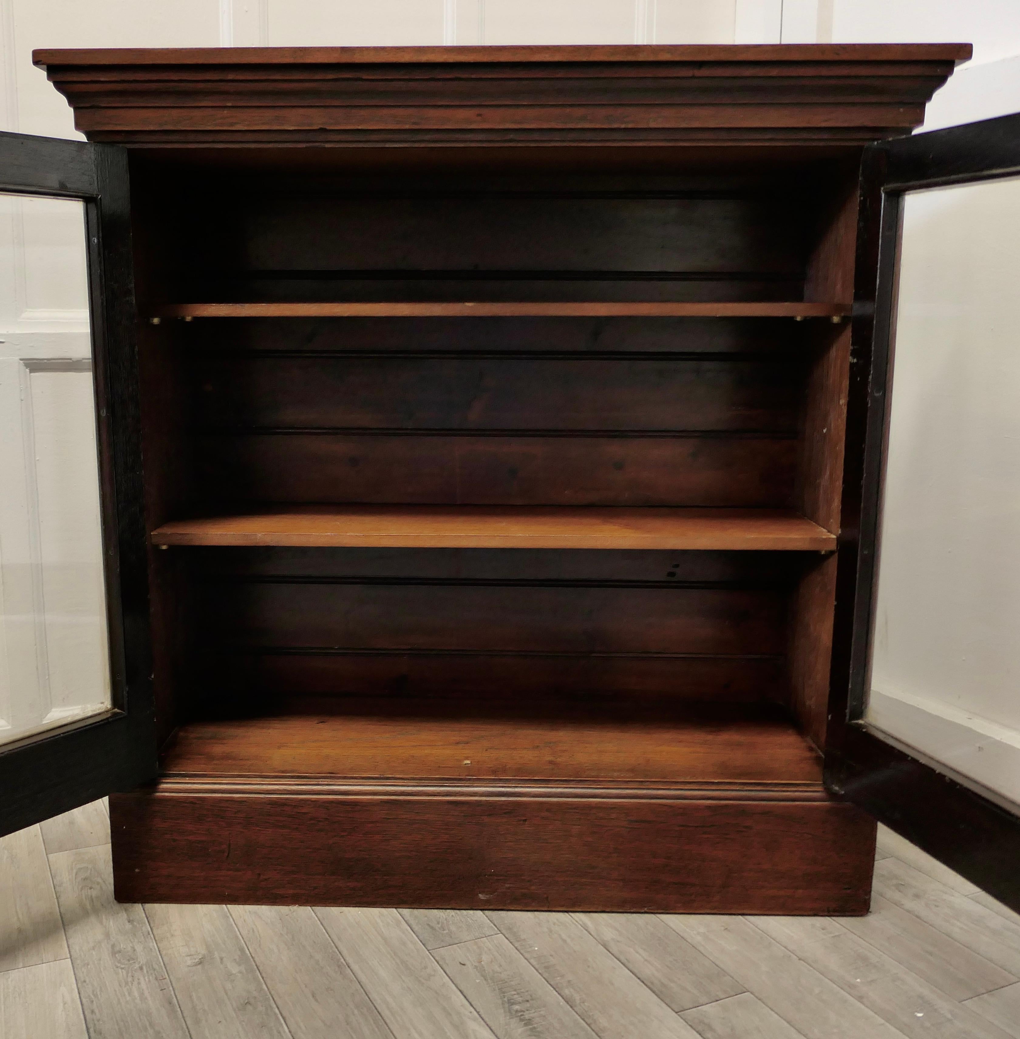 Fine Quality 19th Century Walnut Glazed Bookcase, Cupboard 2