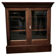 Fine Quality 19th Century Walnut Glazed Bookcase, Cupboard