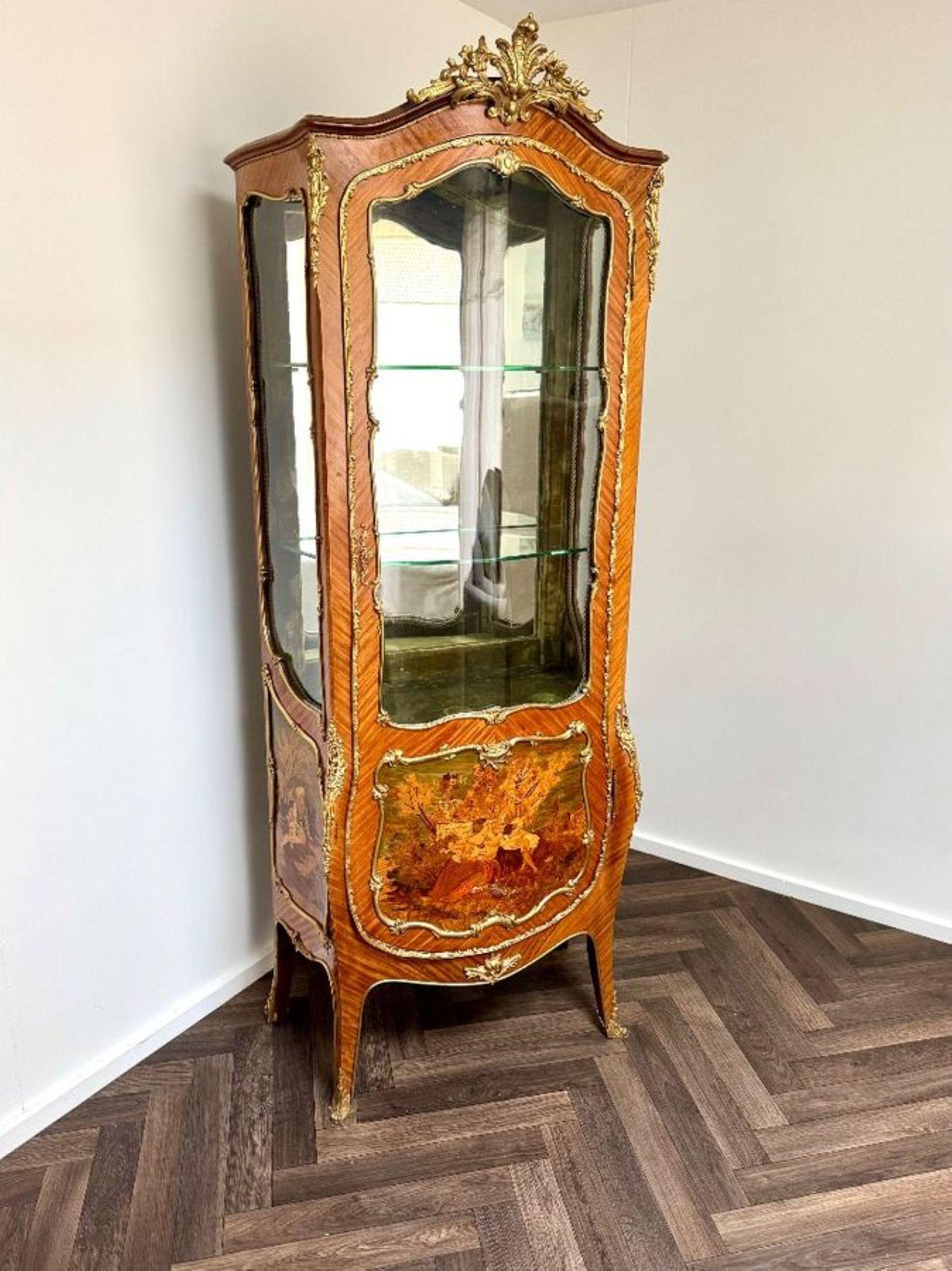 Armadio vitreo francese di alta qualità, in legno di re e dorato in vendita 1