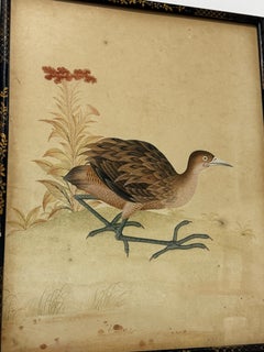 Fine Quality Chinese School Watercolor Of A Marsh Bird, Circa 1800