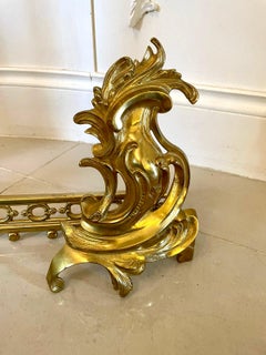Fine Quality French Ornate Gilded Brass Extending Fender