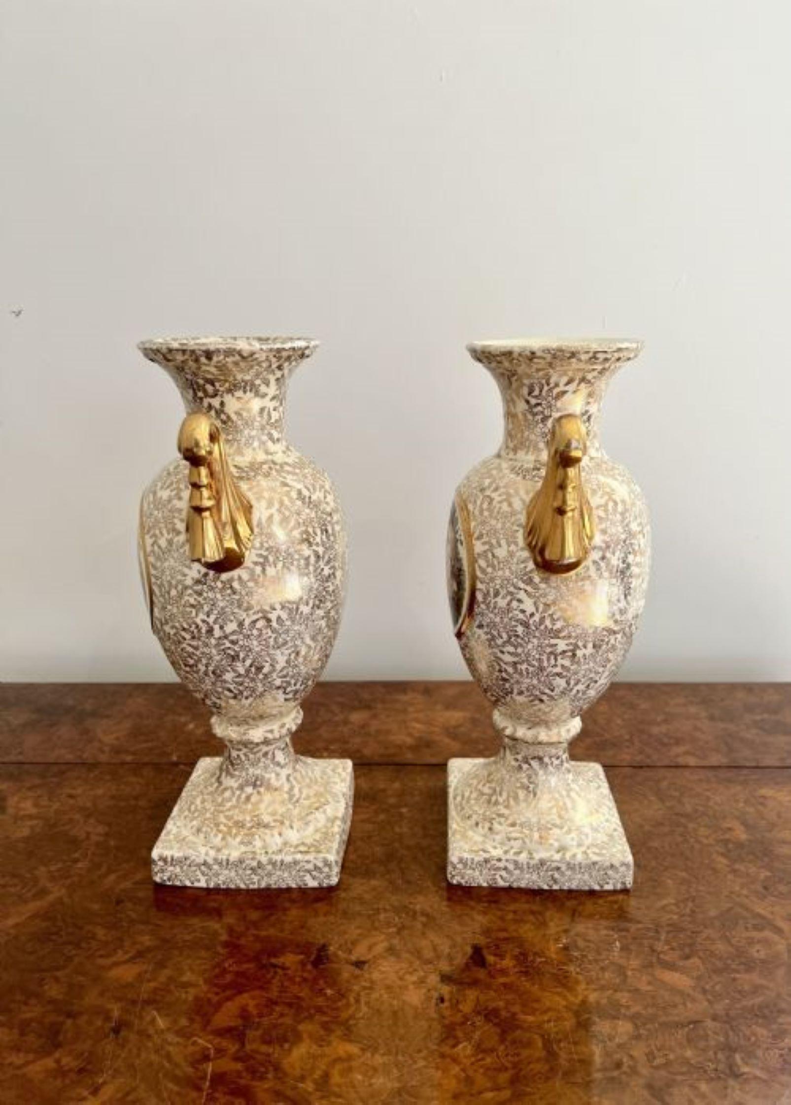 19th Century Fine quality pair of antique Victorian vases  For Sale