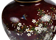 Coppia di vasi giapponesi in cloisonné di ottima qualità, periodo Meiji.