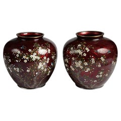 Coppia di vasi giapponesi in cloisonné di ottima qualità, periodo Meiji.