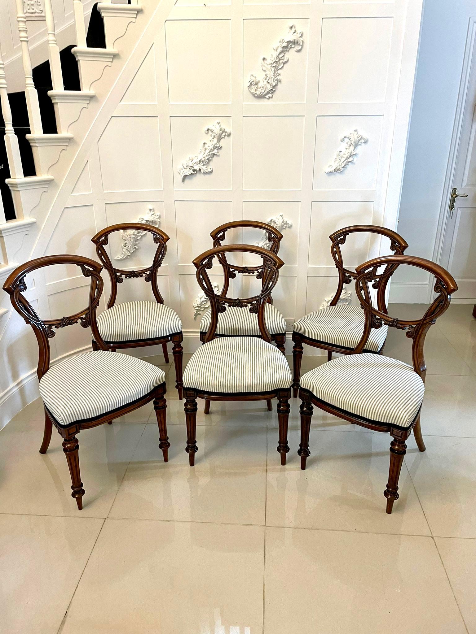 Fine quality set of 6 antique Victorian quality carved walnut dining chairs having Fine quality carved solid walnut shaped backs, newly reupholstered seats in a quality fabric and standing on turned reeded tapering legs to the front and out swept