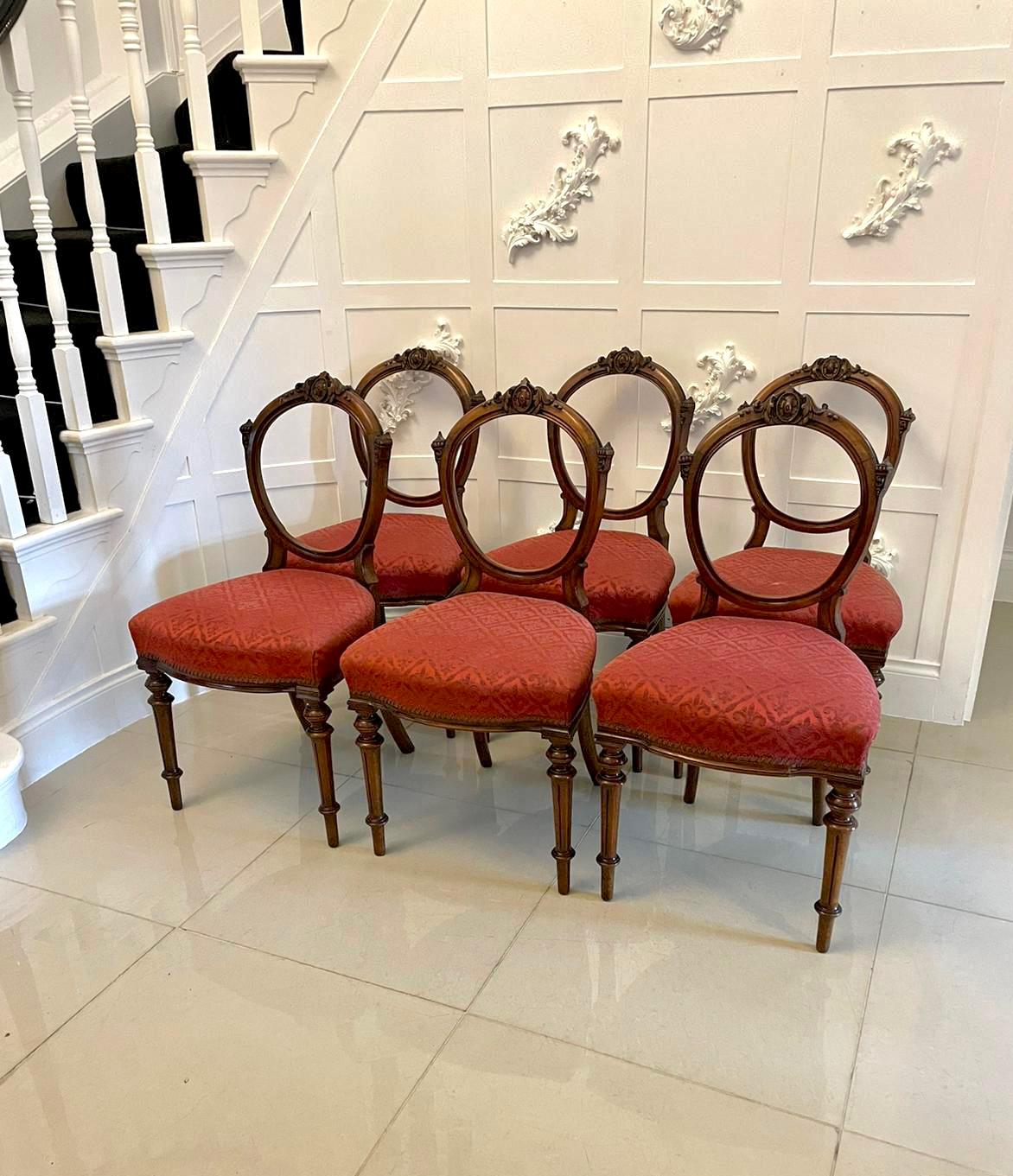 Fine quality set of 6 antique Victorian walnut dining chairs with an elegant carved walnut shaped balloon back, upholstered seats in a classic red quality fabric with serpentine fronts. They stand on elegant turned and reeded legs to the front and