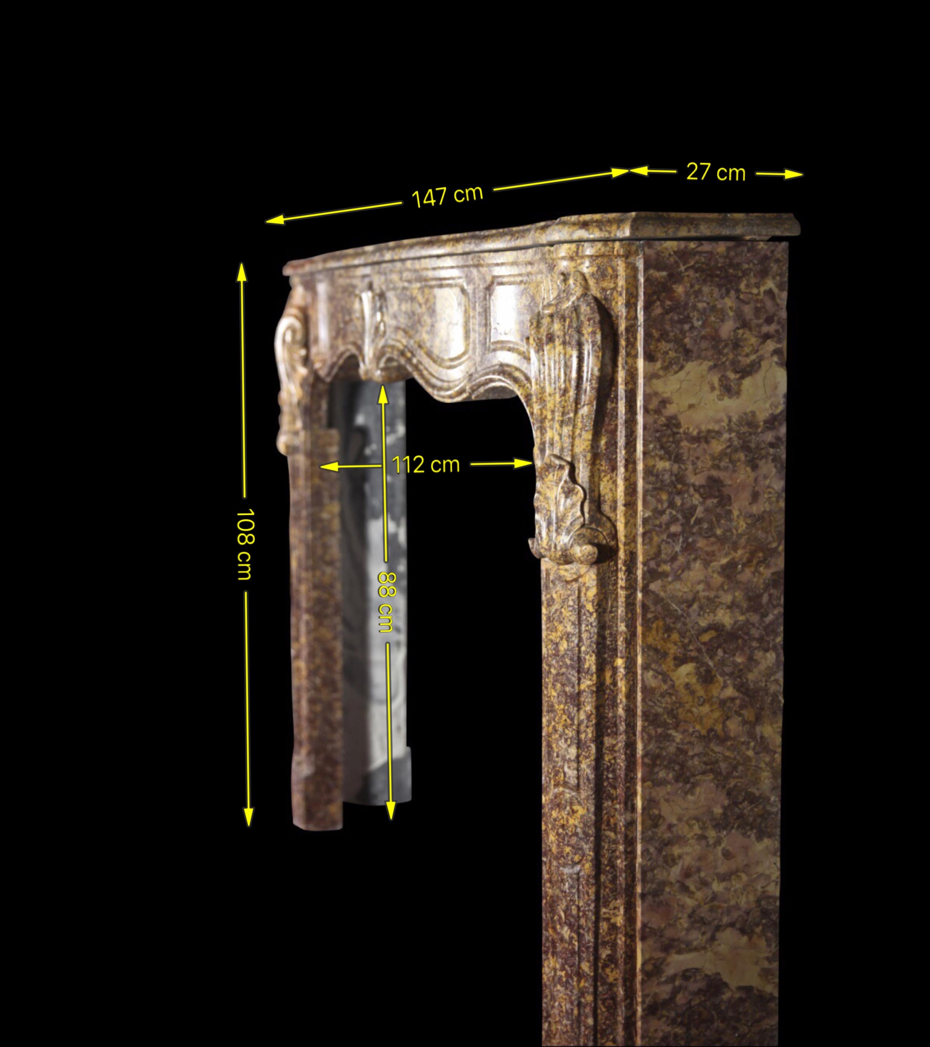 Fine Regency Period Antique Fireplace Surround in Royal Marble For Sale 2