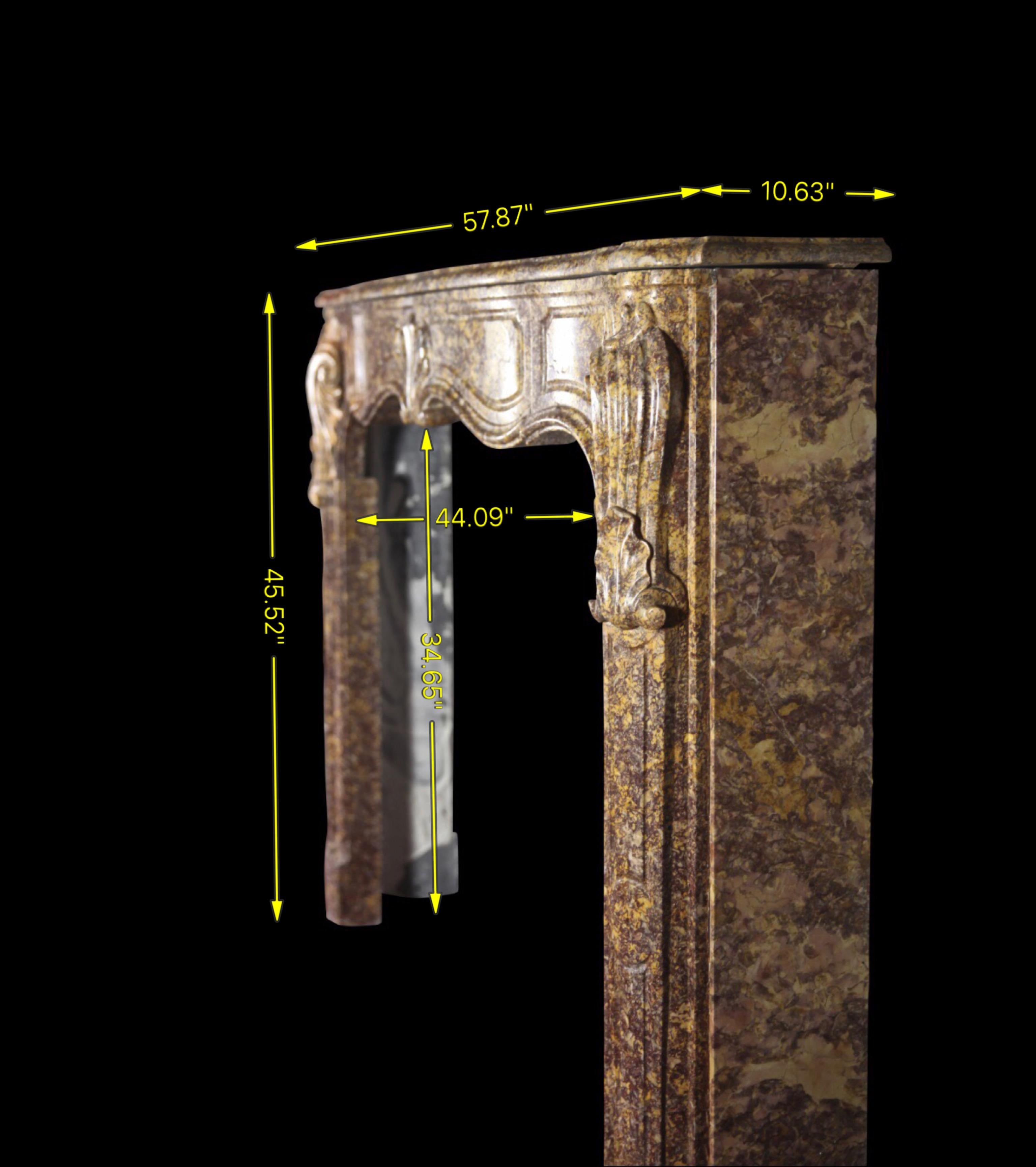 Fine Regency Period Antique Fireplace Surround in Royal Marble For Sale 3