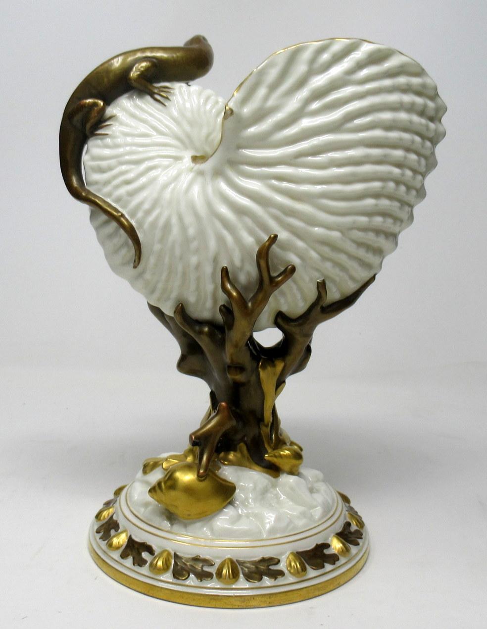 royal worcester shell vase