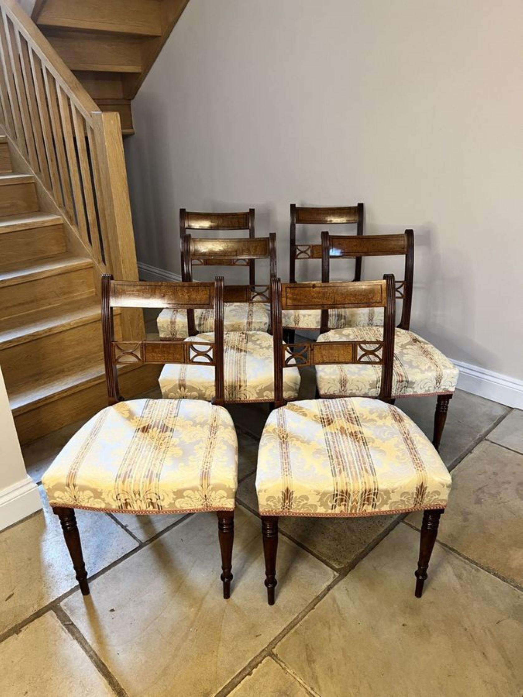 Belle série de six chaises de salle à manger anciennes en acajou de qualité George III  en vente 5
