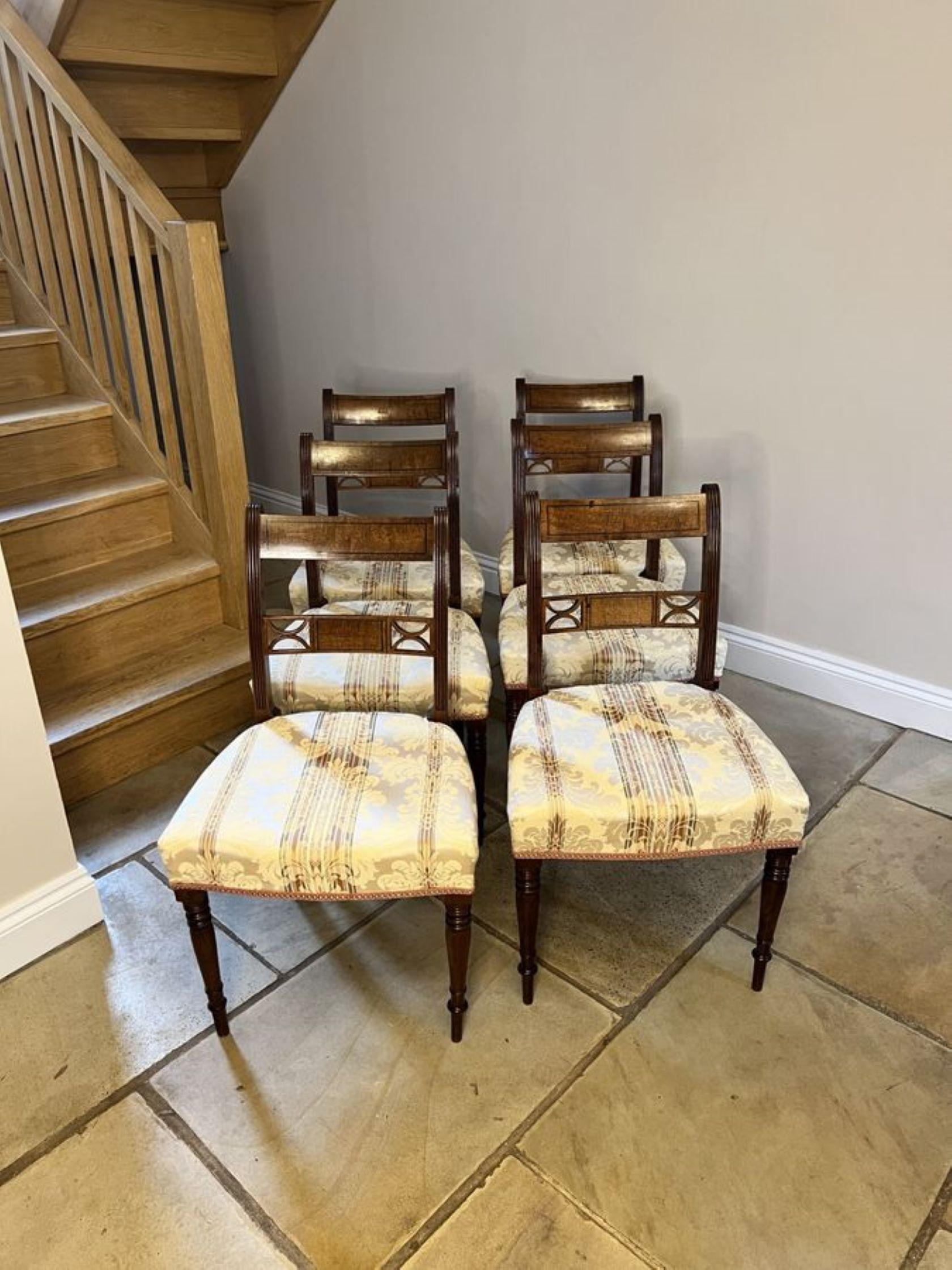 Acajou Belle série de six chaises de salle à manger anciennes en acajou de qualité George III  en vente