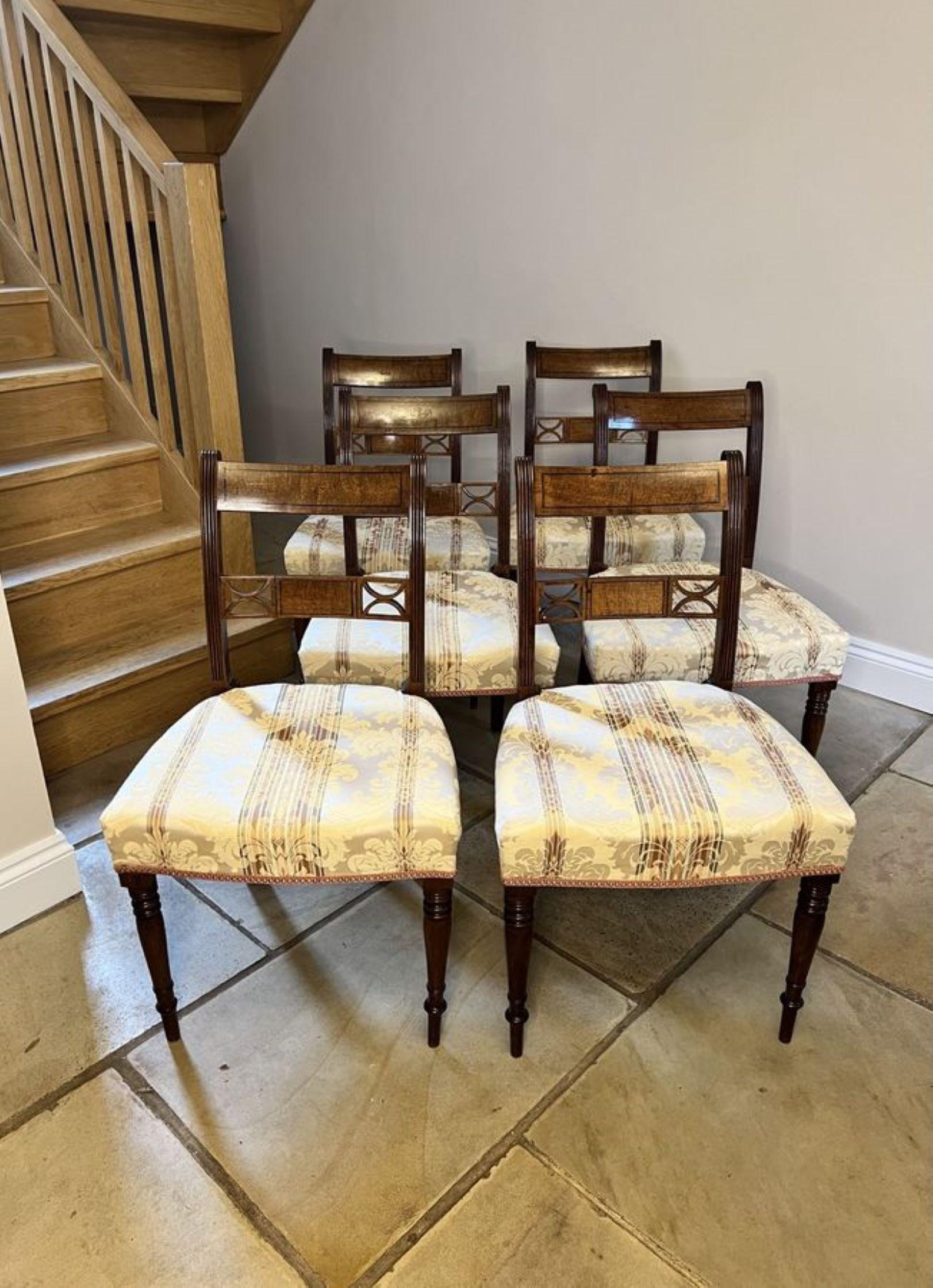Belle série de six chaises de salle à manger anciennes en acajou de qualité George III  en vente 2