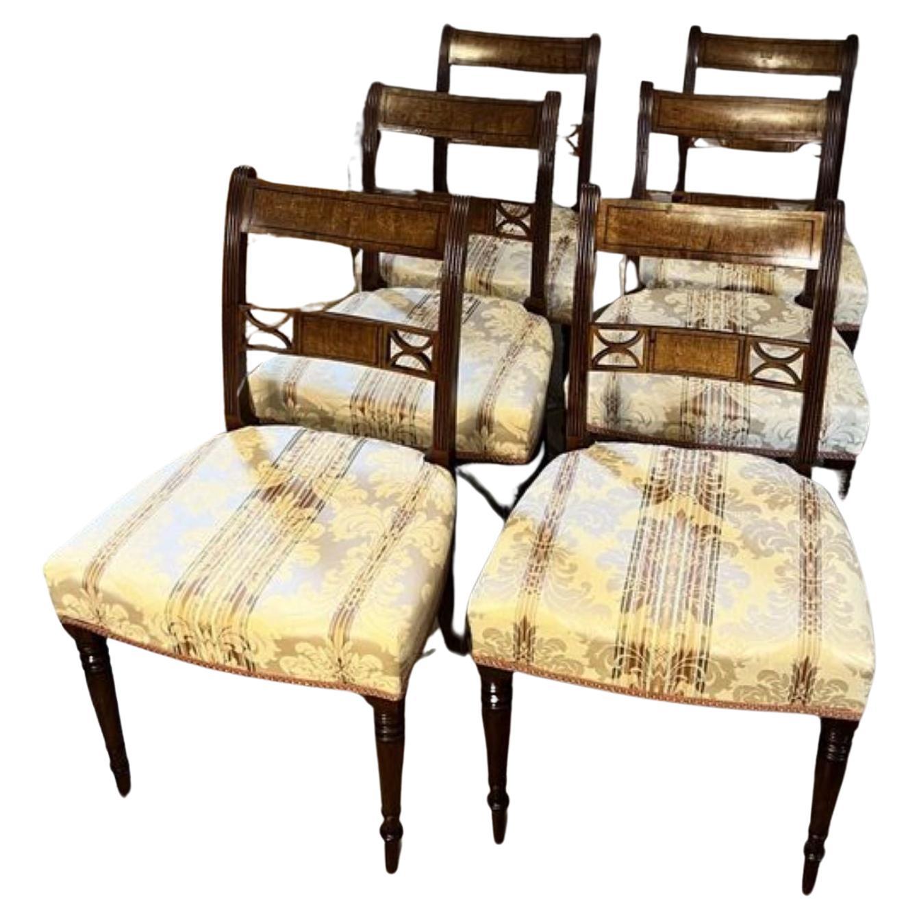 Belle série de six chaises de salle à manger anciennes en acajou de qualité George III  en vente