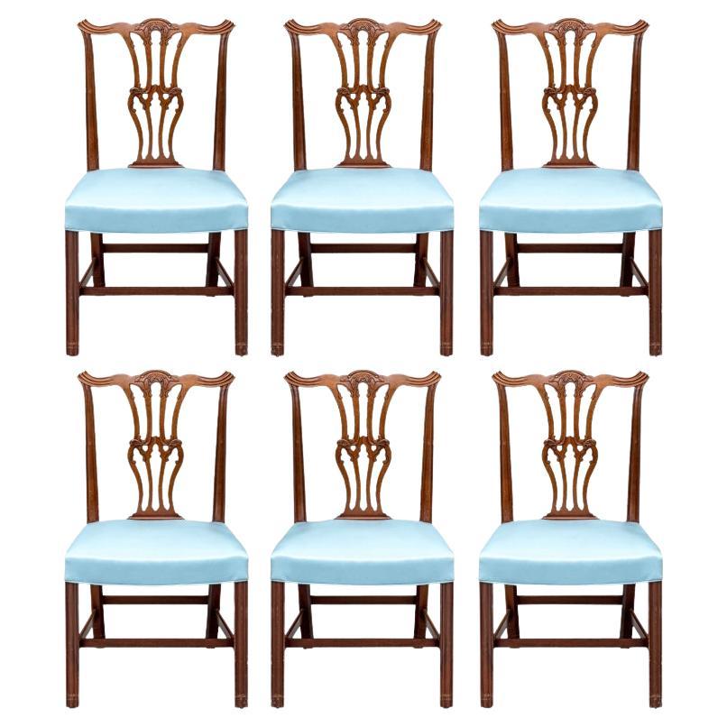 Feines Set von gut geschnitzten Chippendale-Stil Esszimmerstühlen im Angebot