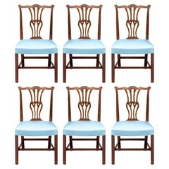 Feines Set von gut geschnitzten Chippendale-Stil Esszimmerstühlen