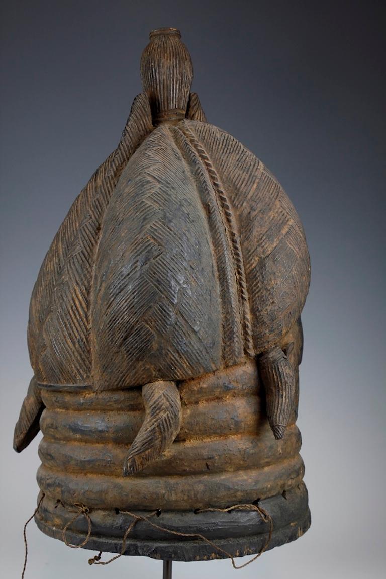 Intagliato Maschera fine 'Sowei'. Mende, Sierra Leone in vendita