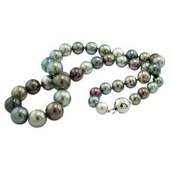 Fine Tahitian Pearl Necklace Multicolor Strong Lustre White Gold Clasp