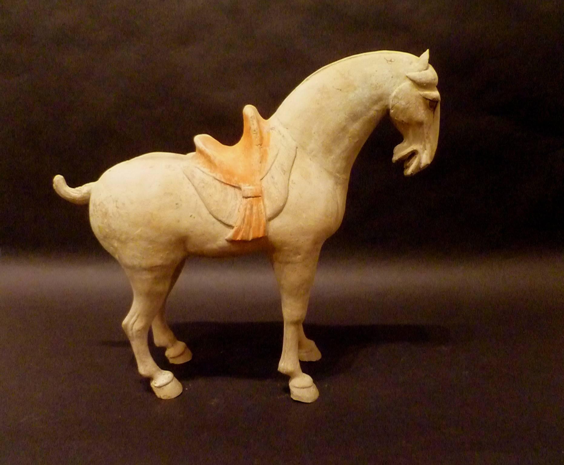 Polished Fine Tang Dynasty Pottery Horse, TL Tested